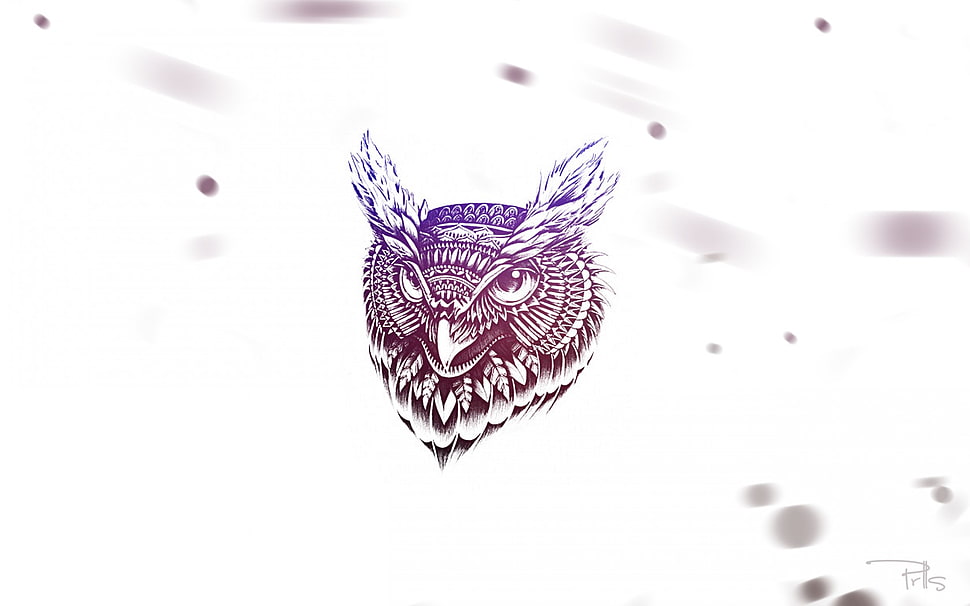 white and pink owl illustration HD wallpaper