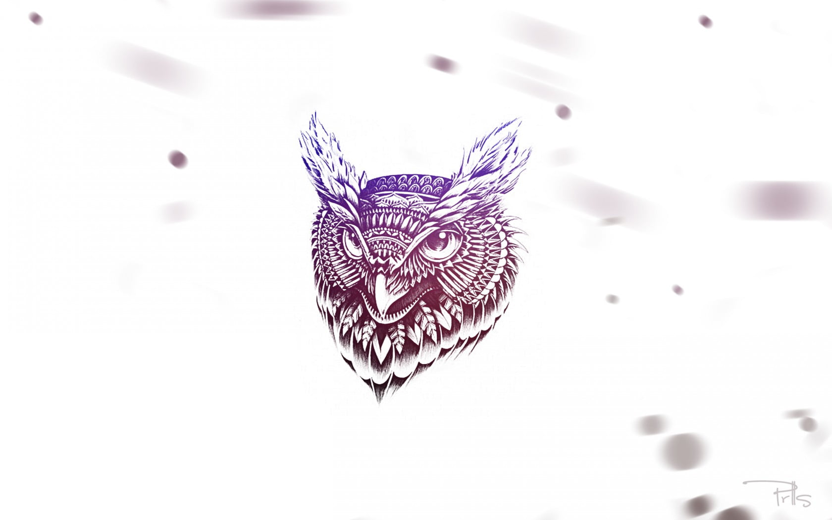 pink owl illustration HD wallpaper