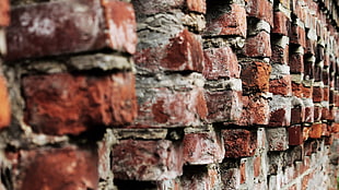 brown bricked wall, wall, texture, bricks, depth of field HD wallpaper