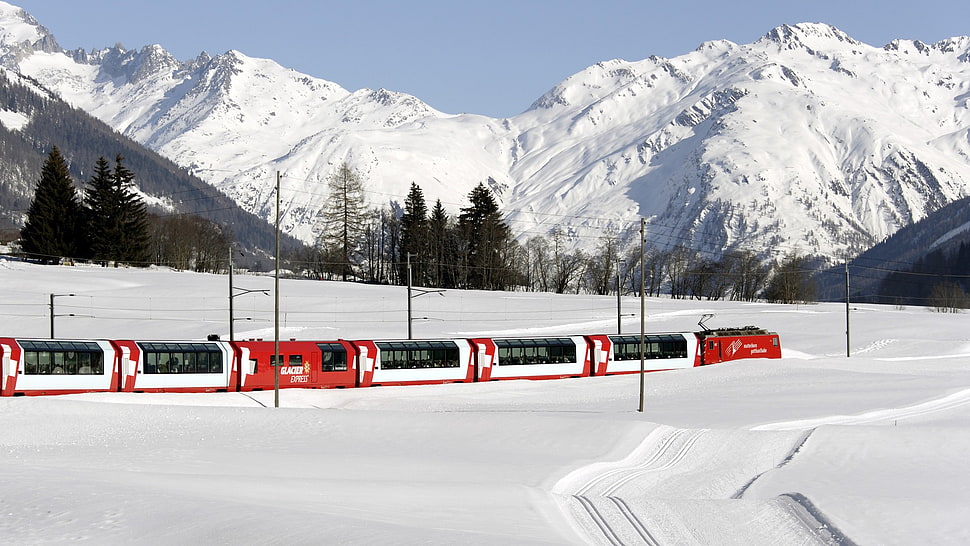 red and white train, nature, landscape, train, railway HD wallpaper