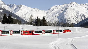 red and white train, nature, landscape, train, railway