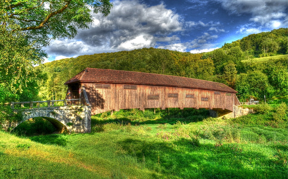 brown wooden house, nature, landscape, bridge HD wallpaper