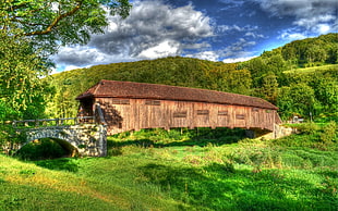 brown wooden house, nature, landscape, bridge