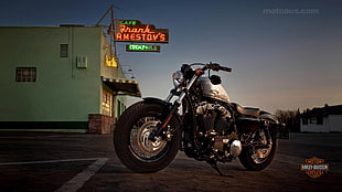 silver and black cruiser motorcycle, Harley Davidson, motorcycle