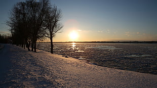 clear bodies of water during sunset HD wallpaper