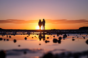 silhouette of couple during sunset