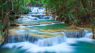 green and white waterfalls, river, forest HD wallpaper