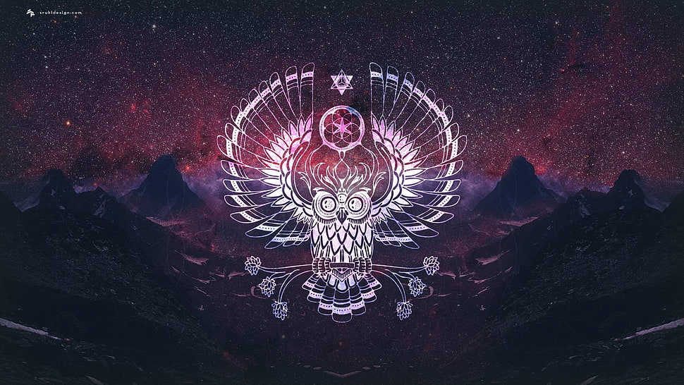 white owl illustration, owl HD wallpaper
