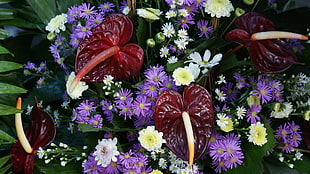 assorted flowers bouquet HD wallpaper