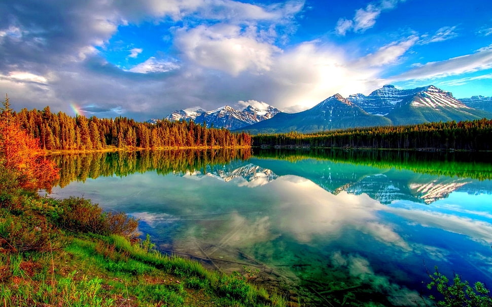 lake surrounded by trees overlooking mountain at daytime HD wallpaper