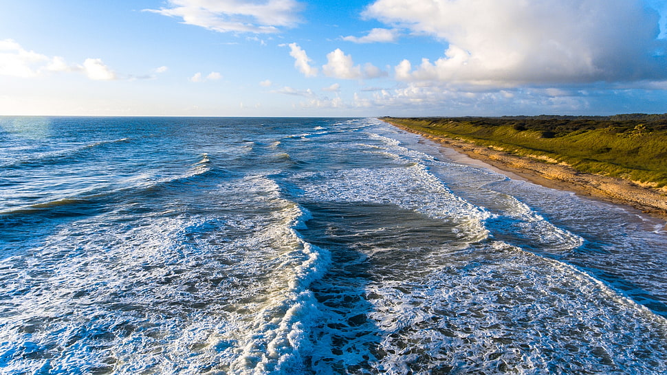 green grass field, sky, clouds, sea, waves HD wallpaper