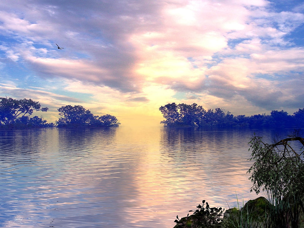 body of water under cloudy sky HD wallpaper