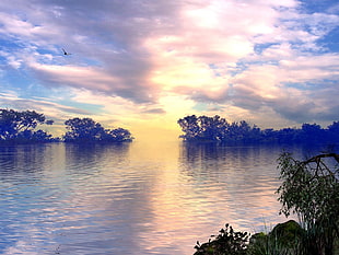body of water under cloudy sky HD wallpaper