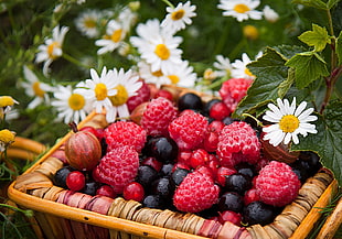 berries on basket