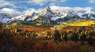 snow covered mountains under white clouds