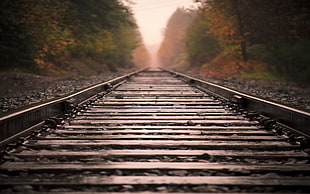 grey railroad, photography, railway