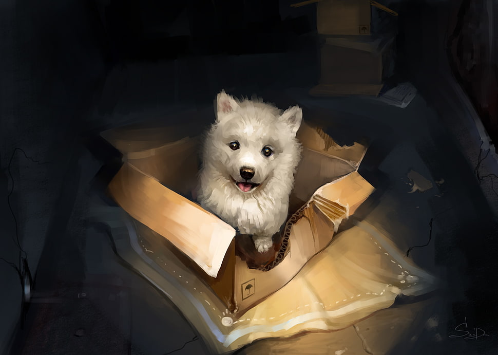 short-coated white dog, puppies, boxes, animals, dog HD wallpaper