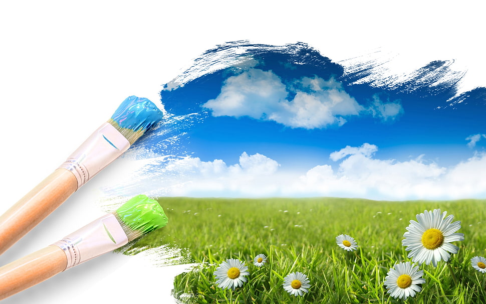 painting of blue sky and white daisy HD wallpaper