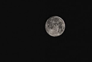 photography of moon HD wallpaper