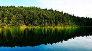 panorama photography of mountains and calm body of water