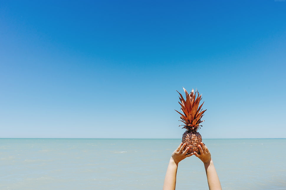 person holding brown pineapple fruit during day time HD wallpaper
