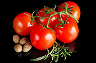 five tomatoes HD wallpaper