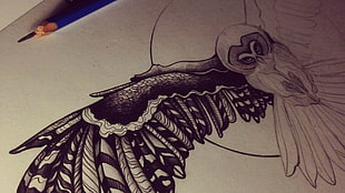 flying owl sketch, owl, pencils