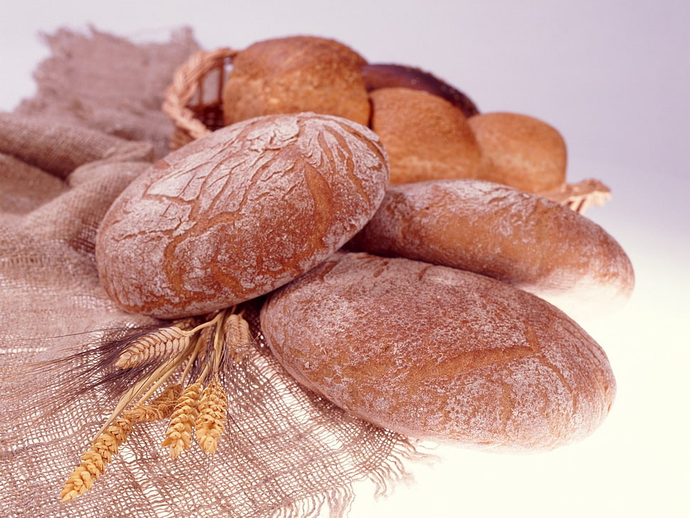 brown breads photo HD wallpaper