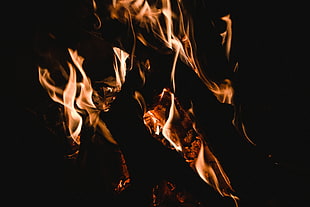 bonefire, Bonfire, Fire, Flame HD wallpaper