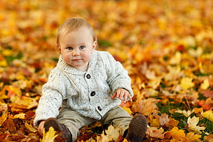 macro shot photography of baby on dried leaves HD wallpaper