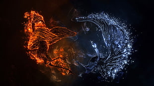 blue and orange GIF photo