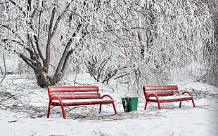 two brown metal benches during snow