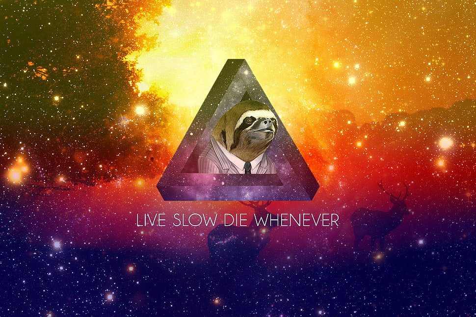 Live Slow Die Whenever, truth, motivational, sloths, animals HD wallpaper