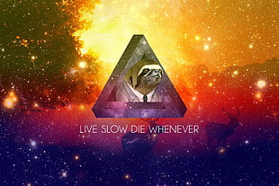 Live Slow Die Whenever, truth, motivational, sloths, animals