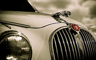 closeup photography of white Jaguar car