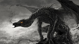 grey dragon digital wallpaper, artwork, dragon, fire, black