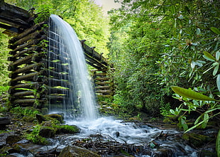 waterfalls surrounded green leaf trees