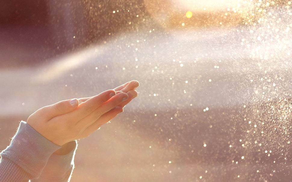 person's ands, hands, sunlight HD wallpaper