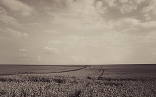 landscape, field, sepia, sky HD wallpaper