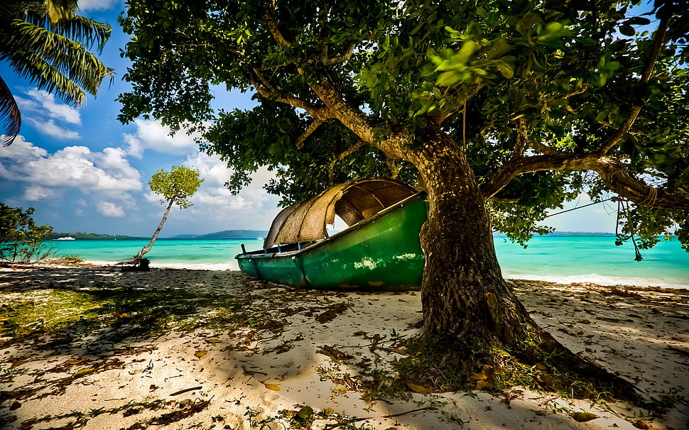 green canoe, nature, landscape, beach, island HD wallpaper