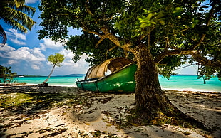 green canoe, nature, landscape, beach, island