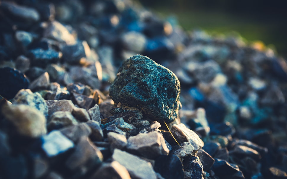 selective focus photo of gray stone HD wallpaper