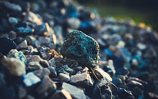 selective focus photo of gray stone