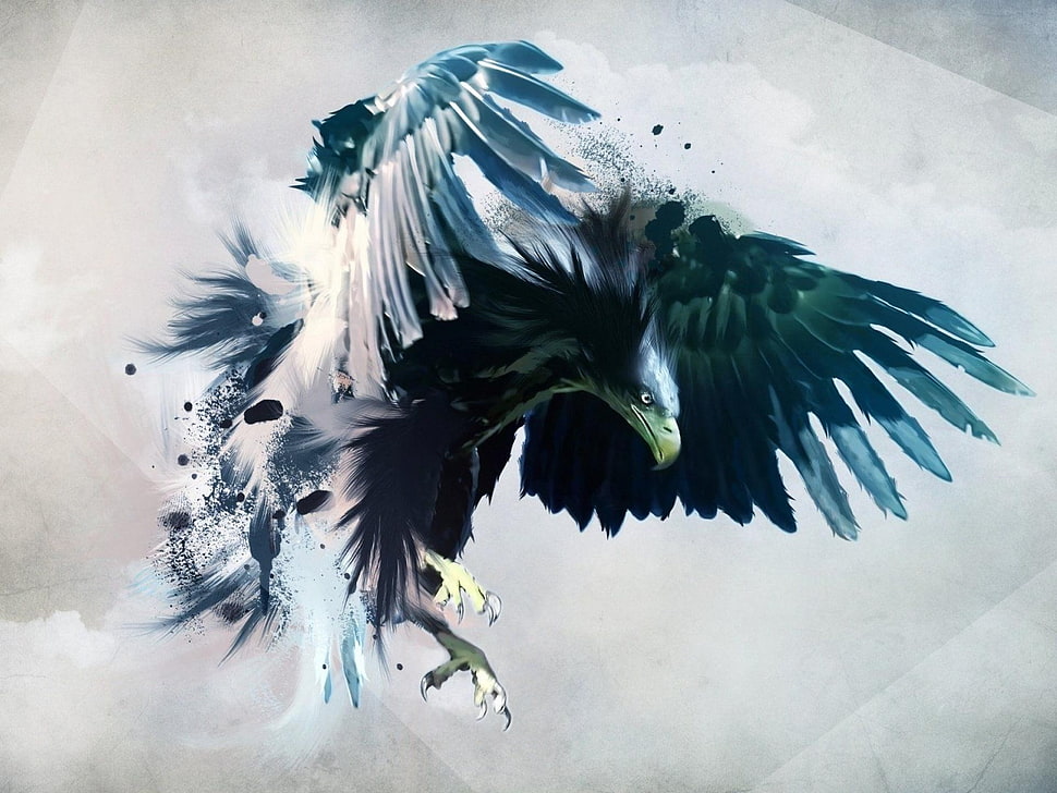 white and green feather decor, eagle, birds, artwork, feathers HD wallpaper