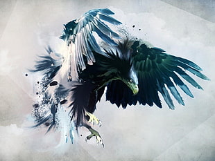 white and green feather decor, eagle, birds, artwork, feathers