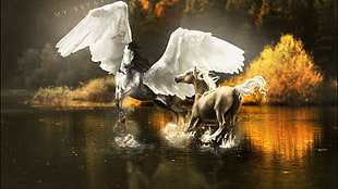 horse and pegasus painting, Pegasus