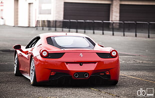 red Ferrari sports car, car