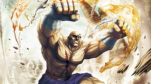 Street Fighter character illustration, Street Fighter