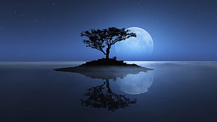 silhouette of trees near body of water painting, landscape, nature, trees, Moon