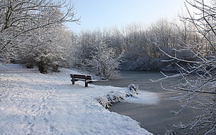 brown wooden bench on snowy ground beside body of water